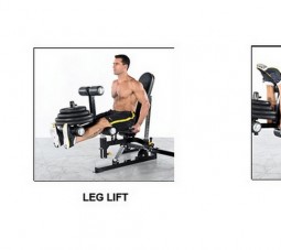 powertec workbench leg curl